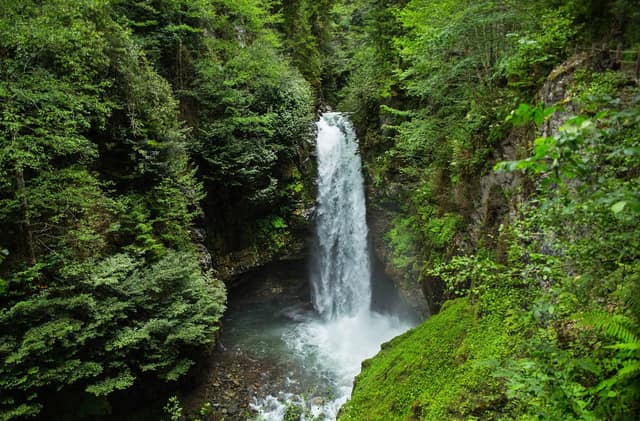 Elevit Plateau & Zilkale Private Tour from Trabzon